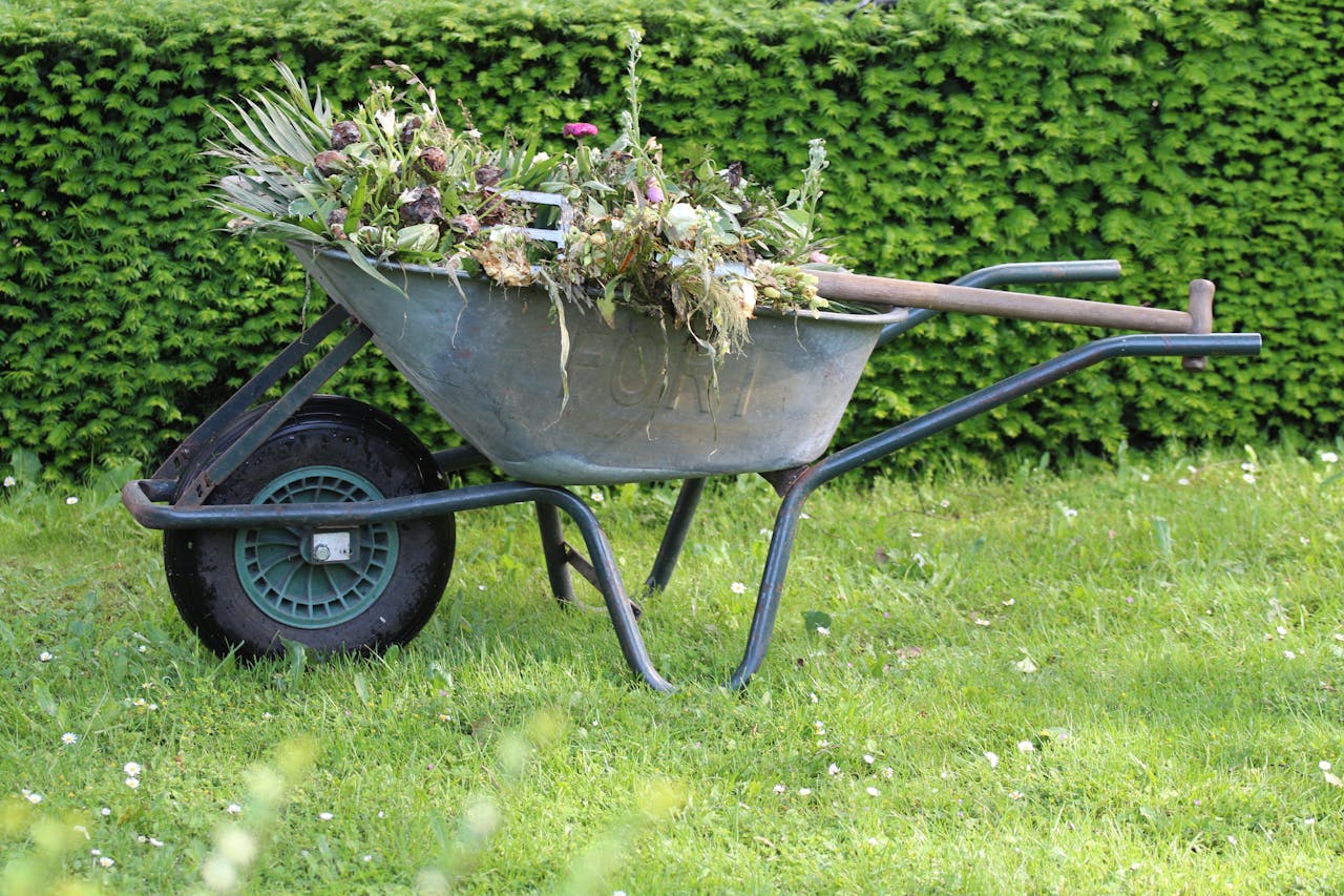 Jardinage et entretien à Guiche — David Service